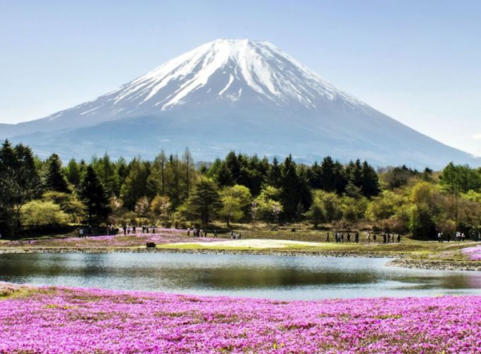 <h1 style='font-size:18px;'>رحلة خاصة الى جبل فوجي</h1><H2 style='color:#5E6D77;font-size:14px;'>استكشف منطقة جبل فوجي في رحلة خاصة من طوكيو والمناطق المجاورة مثل بحيرة كاواجوتشيكو وأوشينو هاكاي</H2>