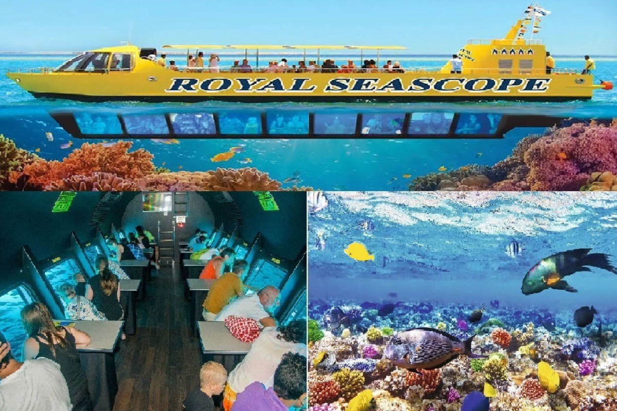 Sharm Semi Submarine Excursion Coral Reef Viewing Tour Ship Boat رحلات