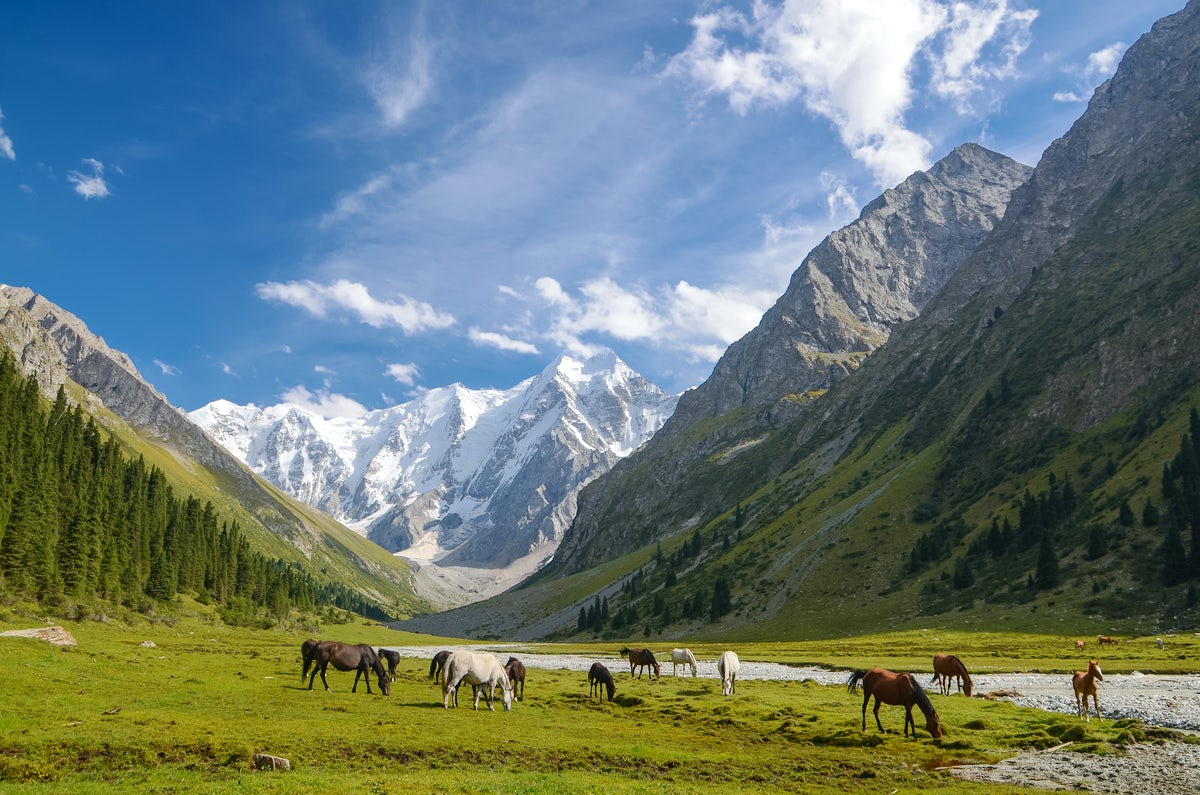 Forex in kyrgyzstan subsidiary ipo examples