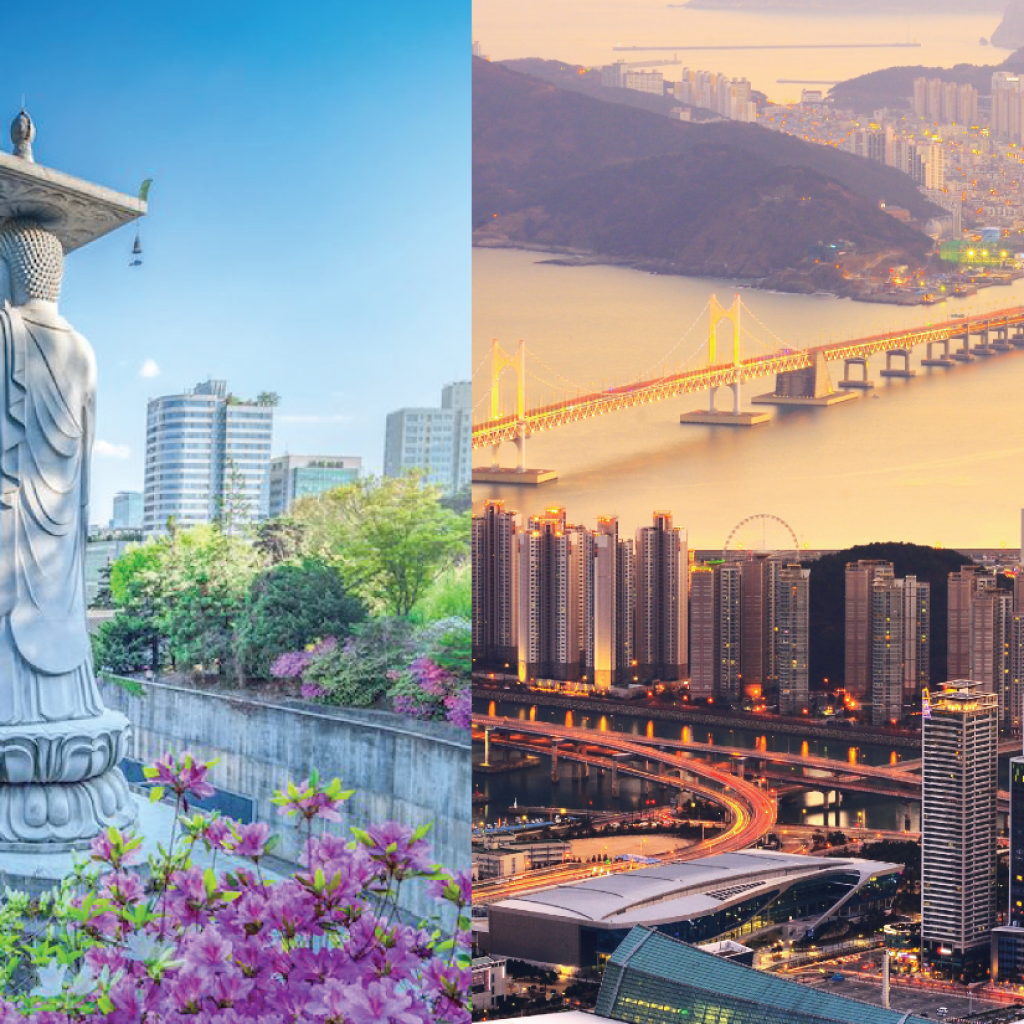 South Korea Car Rentals Search, Compare, & Book Best Deals 2022